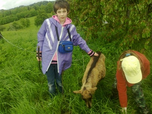 Seznámení s novykluk