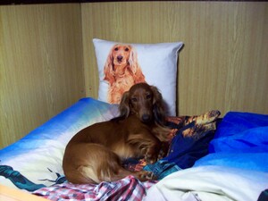 Seznámení s LukasaDarecek