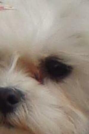 Seznámení s selby111