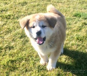 Seznámení s Hazard888