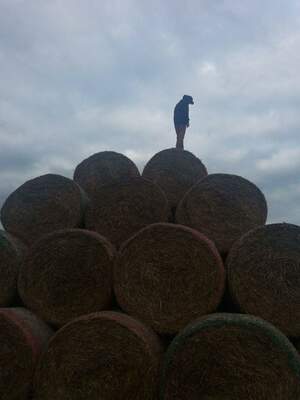 Seznámení s Tomas7890