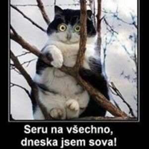 Seznámení s petr1234o