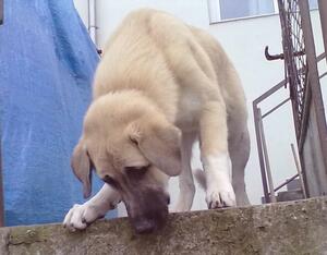 Seznámení s Bodhan