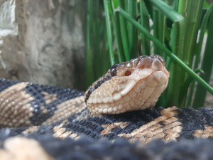 Seznámení s Argo614