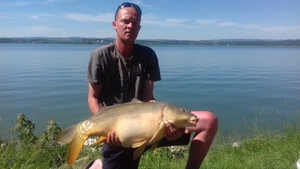 Seznámení s Tomfibr