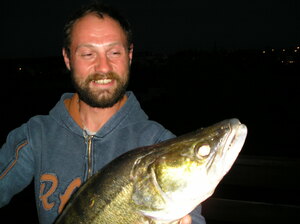 Seznámení s moznajo