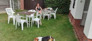 Seznámení s vikaevika