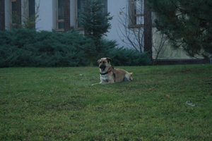 Seznámení s Misuge1404