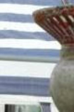 Seznámení s badiso