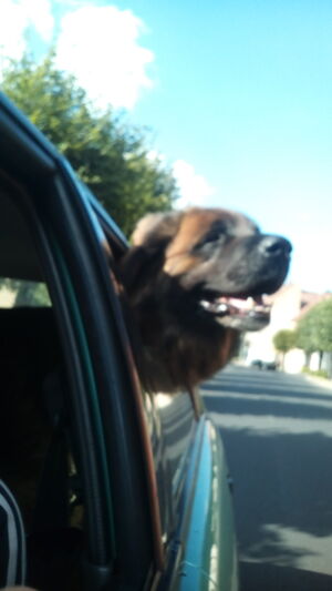 Seznámení s Blazinek1289