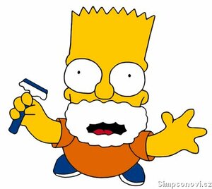 Seznámení s slimjon