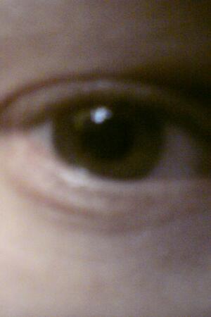 Seznámení s masstodont