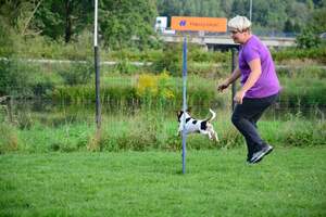 Seznámení s andreave