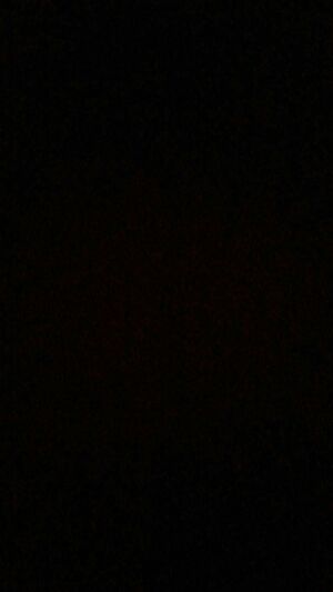 Seznámení s Velbnet1