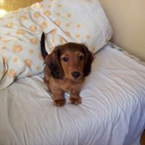 Seznámení s LukasekMalek