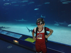 Seznámení s benda1412