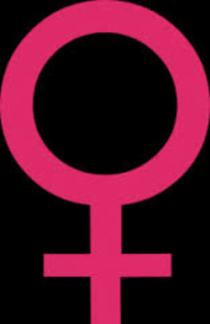 Seznámení s Hanka256