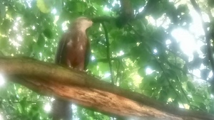 Seznámení s Chcistarsi